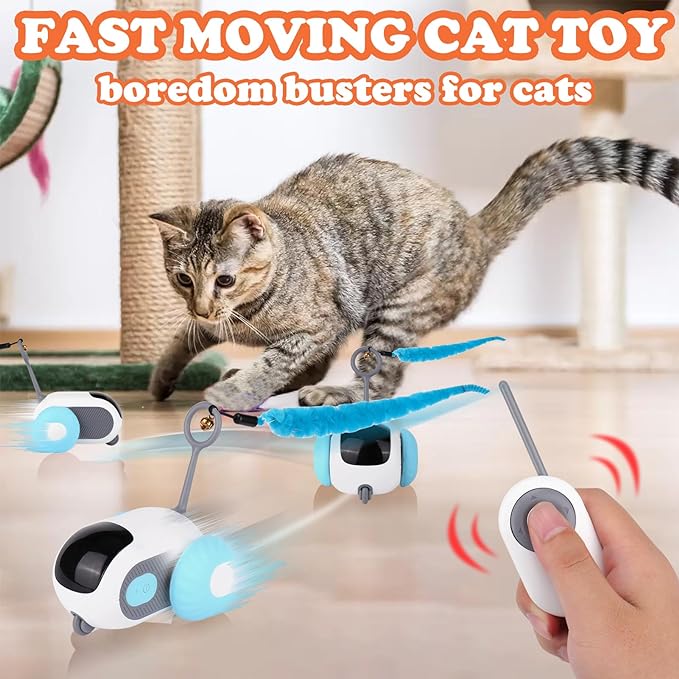 PurrCharge™ Cat Cruiser