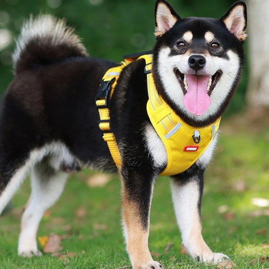 CozyWalk™ Dog Harness